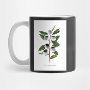 Coffee Botanical Print Mug